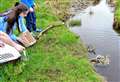 Wick kids help save duck family 