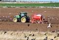 Results in for the Big Farmland Bird Count 