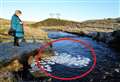 VIDEO and PICTURES: Strange ice pancake phenomenon observed on Scouthal Burn near Watten