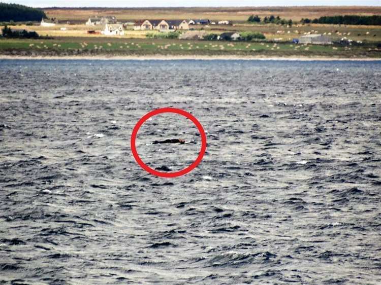 The missing woman is spotted by the lifeboat crew. Picture: FV Reaper